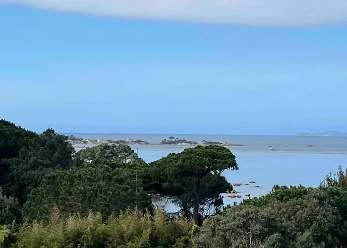 Loc A Machia Fiurita 2 - Vue Appartamento *