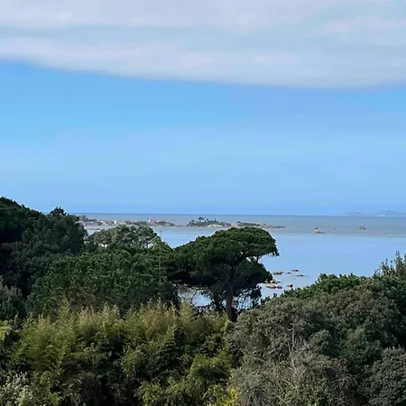 Loc A Machia Fiurita 2 - Vue Apartmán *